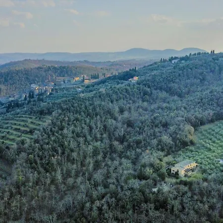 Podere Mencoini, Stylish With Private Pool And Olive Garden Scrofiano