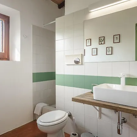 Villa Podere Mencoini, Stylish With Private Pool And Olive Garden