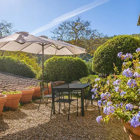 Podere Mencoini, Stylish With Private Pool And Olive Garden Villa