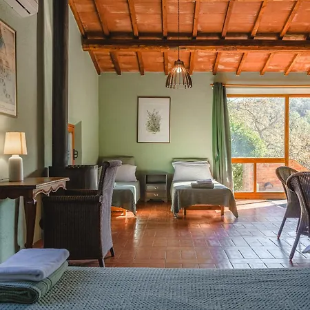 Villa Podere Mencoini, Stylish With Private Pool And Olive Garden *